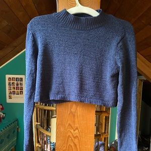 Wild fable cropped blue sweater